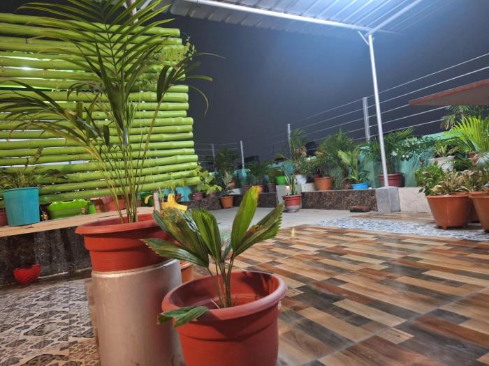 mavenoak dreams bandb