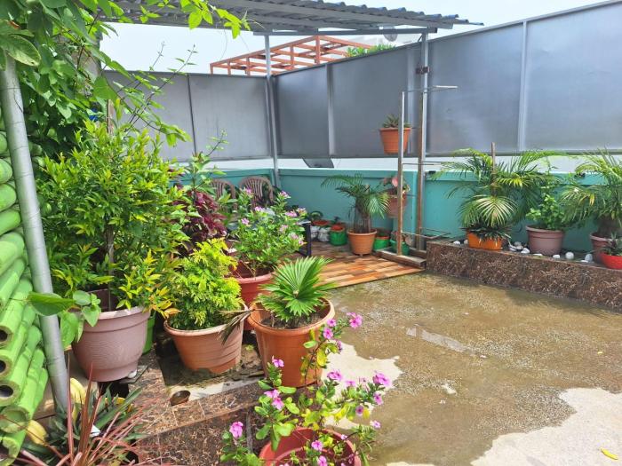 mavenoak dreams bandb