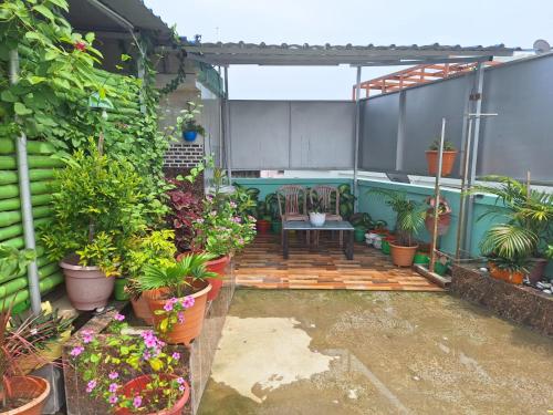 mavenoak dreams bandb