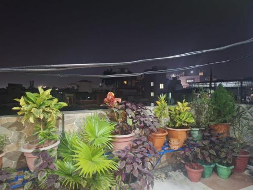 mavenoak dreams bandb