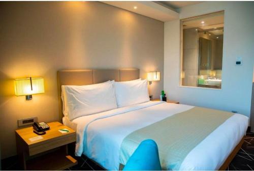 hotel radient international