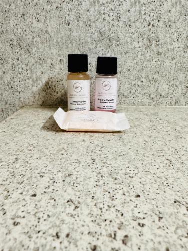 hotel majestic lucknow