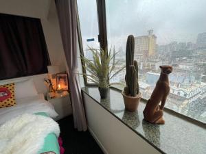 Macau Hotel S,Taipa>>Macau,3 star