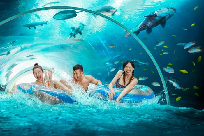 resorts world sentosa equarius hotel