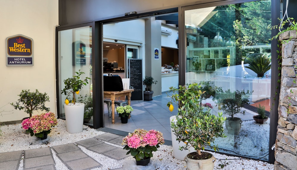 best western hotel anthurium
