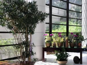 mercure sao paulo grand plaza paulista