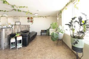 knights inn cozad lexington area