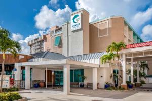 dolphin sands clearwater beach an ascend collection hotel