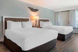dolphin sands clearwater beach an ascend collection hotel