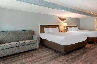 dolphin sands clearwater beach an ascend collection hotel