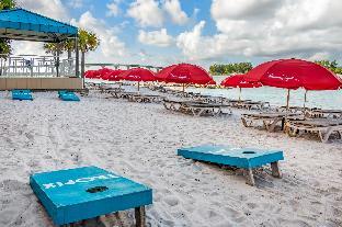 dolphin sands clearwater beach an ascend collection hotel