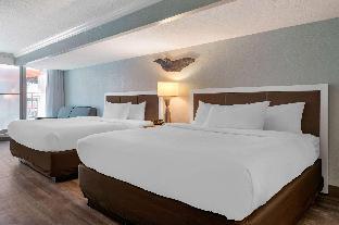 dolphin sands clearwater beach an ascend collection hotel