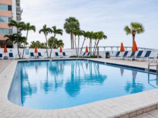 dolphin sands clearwater beach an ascend collection hotel