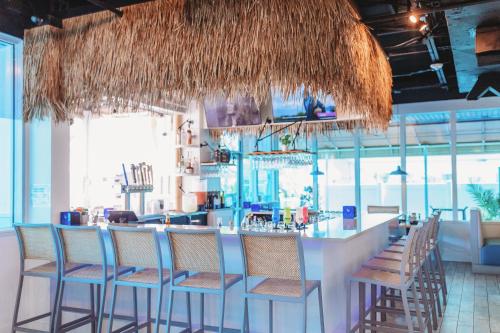 dolphin sands clearwater beach an ascend collection hotel