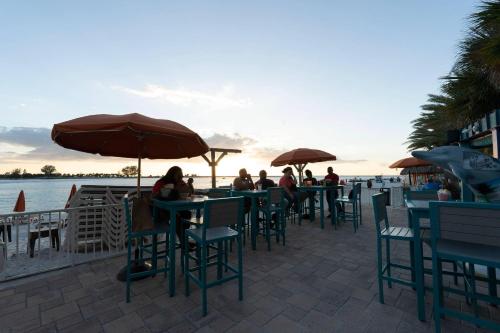 dolphin sands clearwater beach an ascend collection hotel