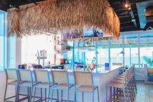 dolphin sands clearwater beach an ascend collection hotel