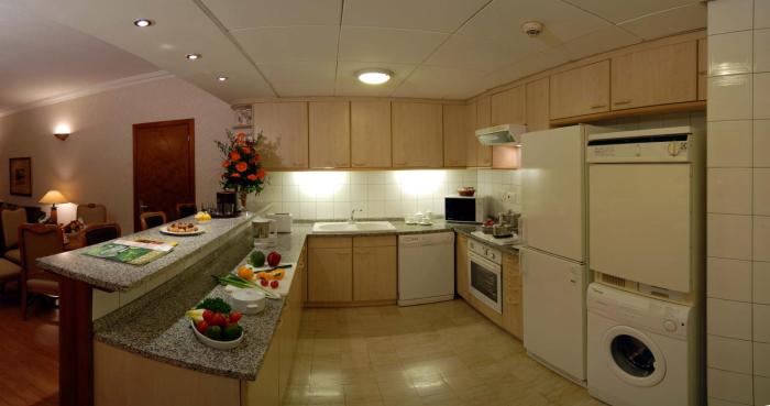 millennium plaza downtown suites