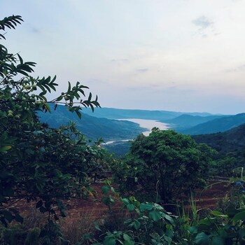 Yuva Yatri Campsite,Panchgani - Mahabaleshwar Rd,2 star