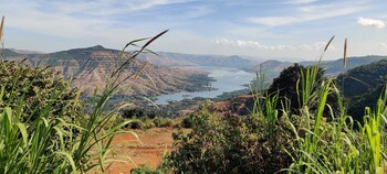 Yuva Yatri Campsite,Panchgani - Mahabaleshwar Rd,2 star