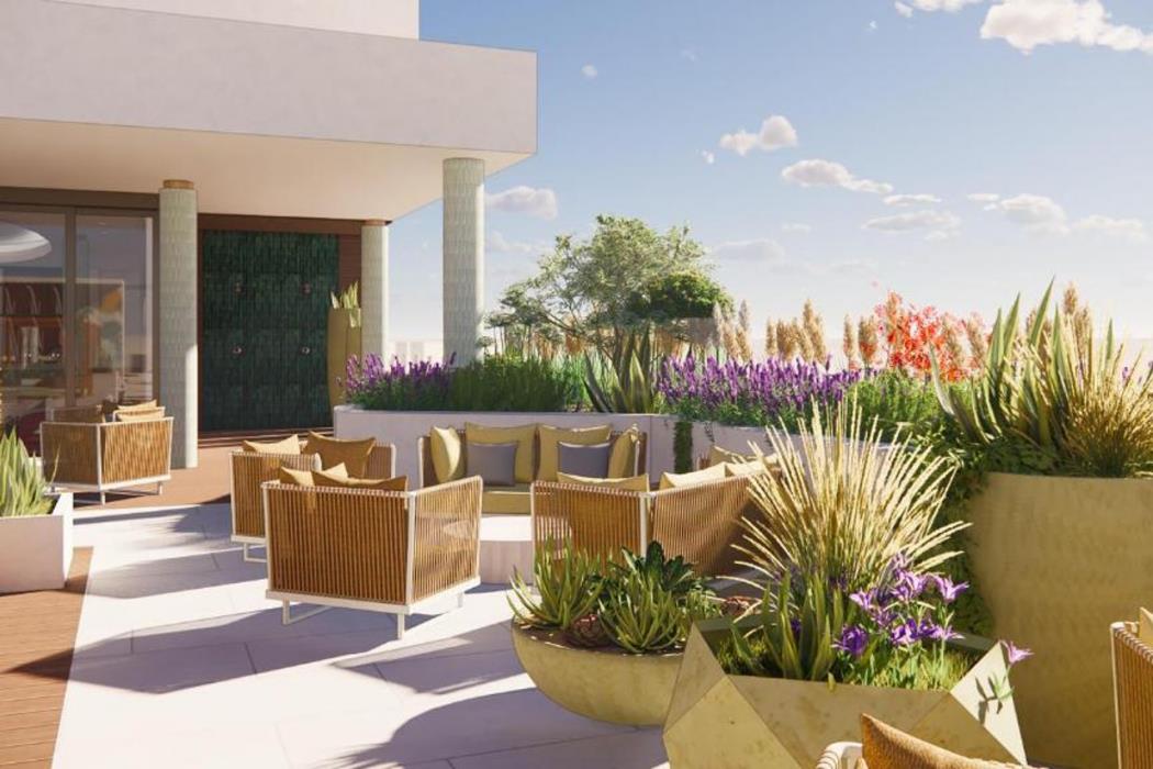 the westerly at hilton aruba caribbean resort