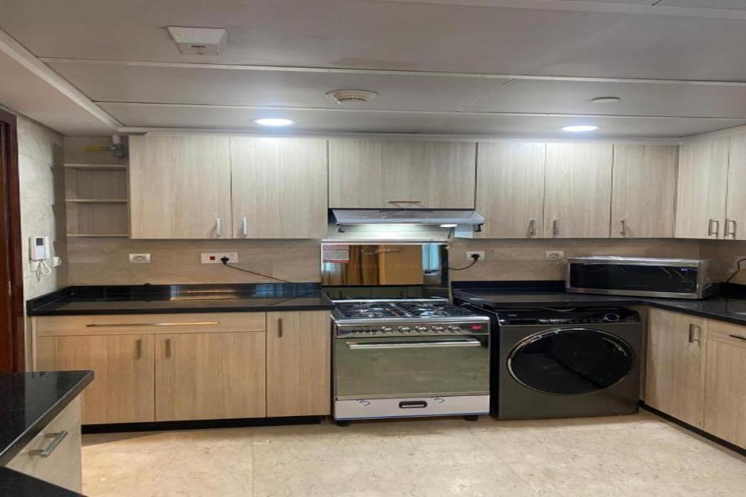 nile suites plaza apartments
