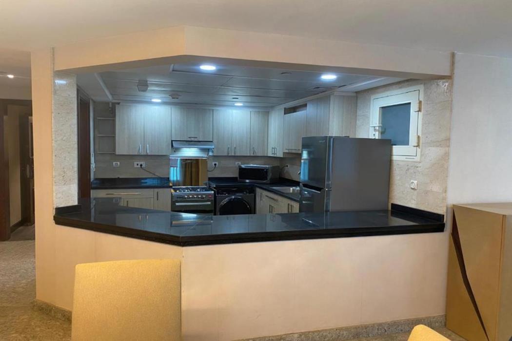 nile suites plaza apartments