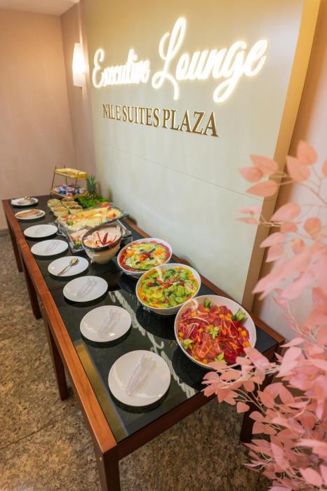 nile suites plaza apartments