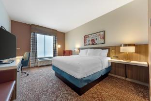 hilton garden inn media
