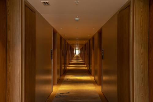 hilton garden inn bengaluru whitefield