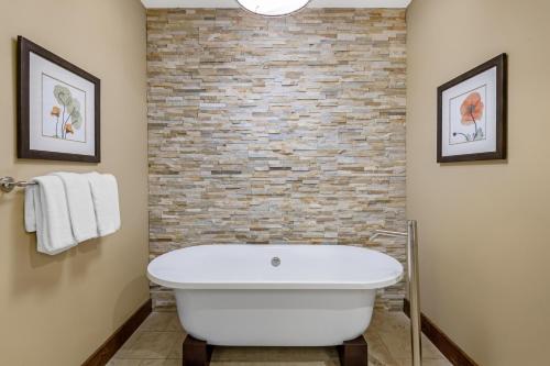 hilton grand vacations club paradise point hollister
