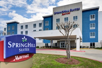 Springhill Suites Shreveport-Bossier City/Louisiana Downs,Caddo Parish>>Bossier City,3 star