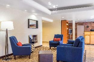 comfort inn and suites