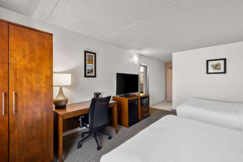 comfort inn and suites