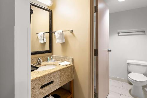 comfort inn and suites