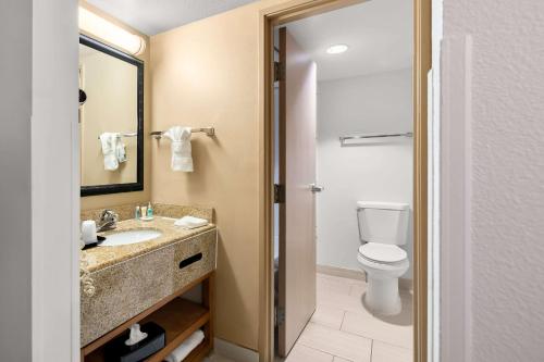 comfort inn and suites