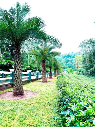 idukki