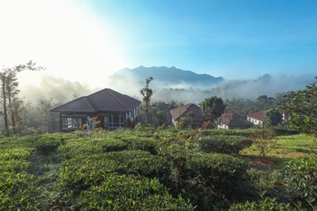 jeevess retreat wayanad