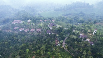 jeevess retreat wayanad