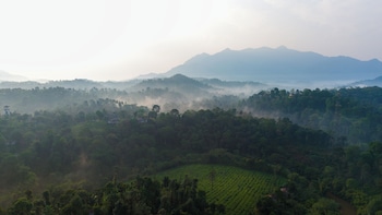 jeevess retreat wayanad