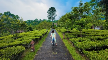 jeevess retreat wayanad