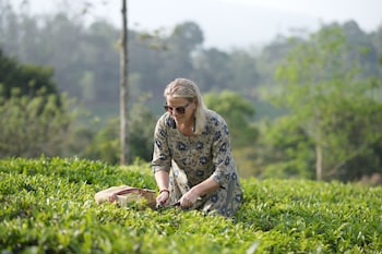 jeevess retreat wayanad