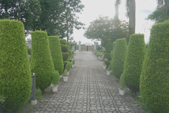 dehradun