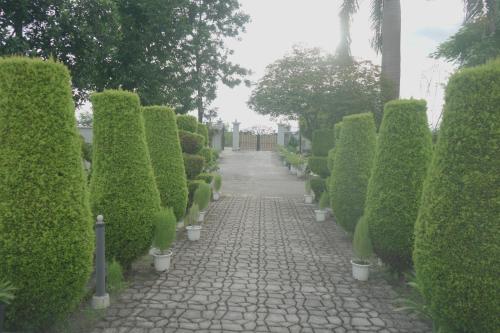 dehradun