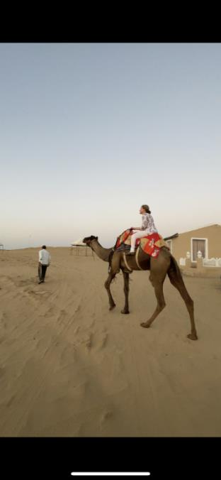 golden sands desert camp raisar bikaner