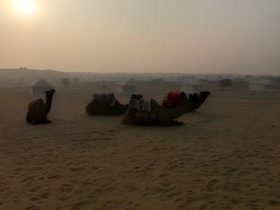 golden sands desert camp raisar bikaner