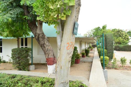 balaram palace resort