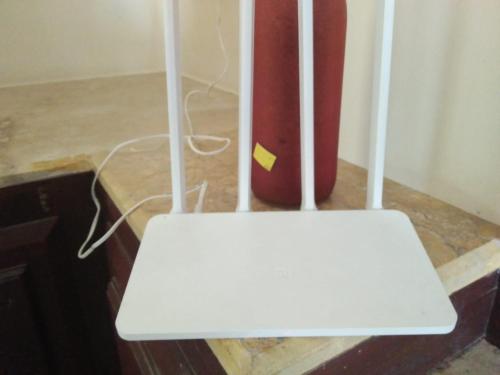 balaram palace resort