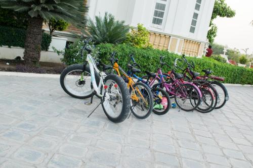 balaram palace resort