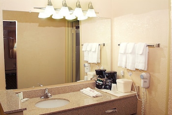 quality inn and suites big rapids near university