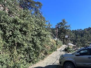 shimla